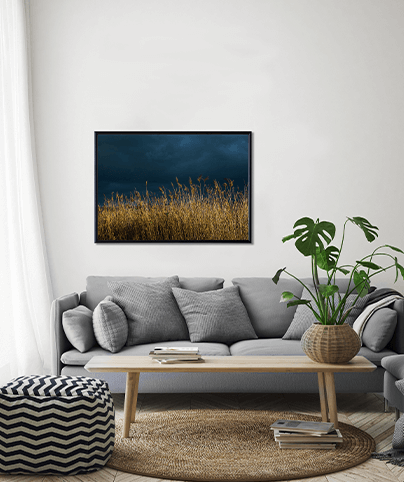 HULA VALLEY_02